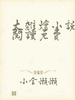 大杂烩小说全集阅读免费