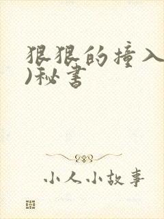 狠狠的撞入(h)秘书