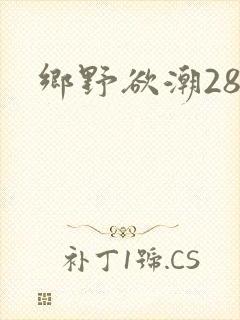 乡野欲潮28章