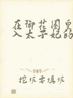 在御花园皇上进入太子妃的小说