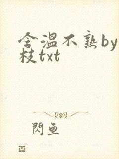 含温不熟by词枝txt