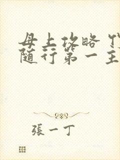 母上攻略 竹影随行第一主板