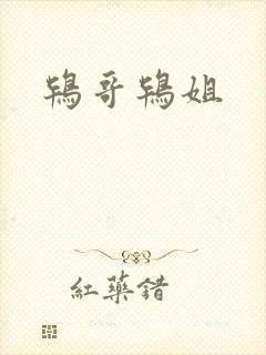 鸨哥鸨姐