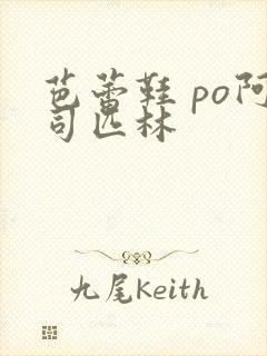 芭蕾鞋 po阿司匹林