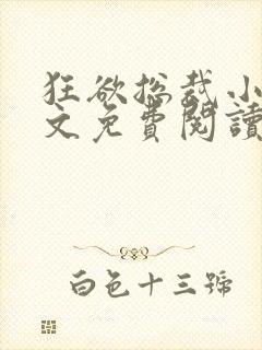 狂欲总裁小说全文免费阅读