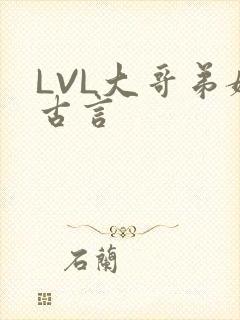 LVL大哥弟媳古言