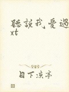 听说我爱过你txt