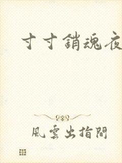 寸寸销魂夜春光