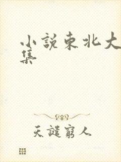 小说东北大炕全集