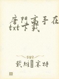 唐门高手在异世txt下载
