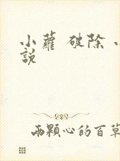 小萝 破除 小说