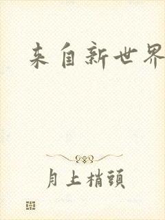 来自新世界小说