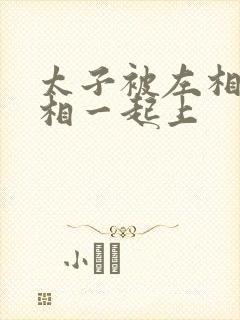 太子被左相和右相一起上