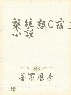 系统想C宿主的小说