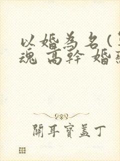 以婚为名 (军魂 高干 婚恋)