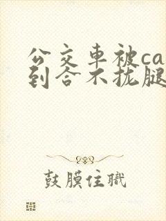 公交车被cao到合不拢腿视频