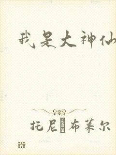 我是大神仙小说