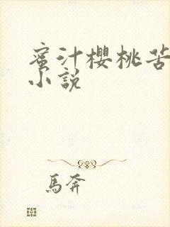 蜜汁樱桃苦咖啡小说