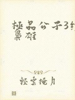 极品公子3续世枭雄