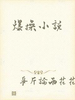 爆操小说