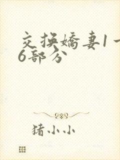 交换娇妻1一36部分