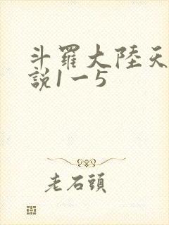 斗罗大陆天狂传说1一5