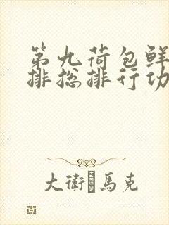 第九荷包鲜辣肉排总排行功能介绍