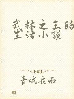 武林之王的退隐生活小说