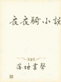 夜夜骑小说