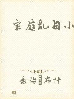 家庭乱日小说