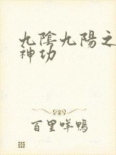 九阴九阳之阴阳神功
