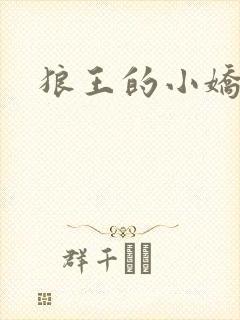 狼王的小娇妻