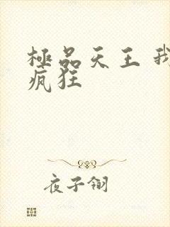 极品天王 我本疯狂