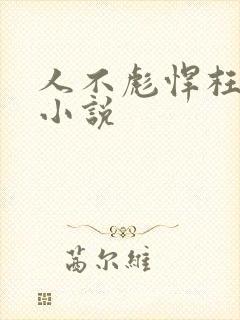 人不彪悍枉少年小说