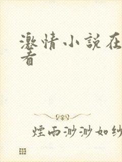 激情小说在线观看