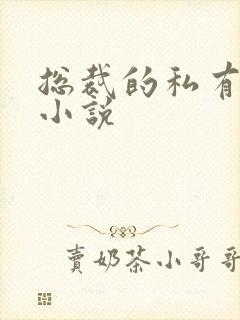 总裁的私有宝贝小说