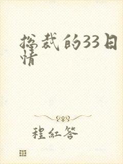 总裁的33日索情