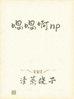 嗯嗯啊np