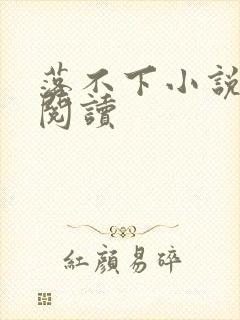 落不下小说免费阅读