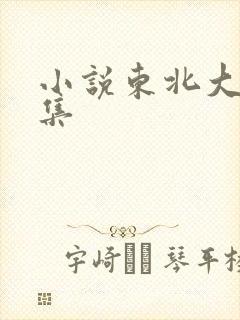 小说东北大炕全集