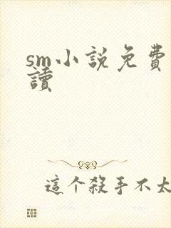 sm小说免费阅读