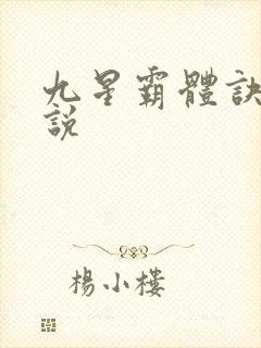 九星霸体诀 小说