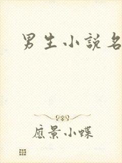 男生小说名字