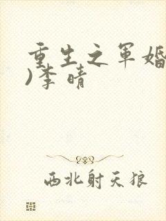 重生之军婚(h)李晴