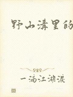 野山沟里的村庄