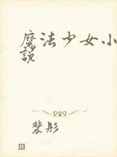 魔法少女小圆小说
