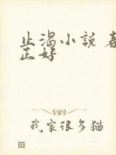 止渴小说 春光正好