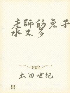 老师的兔子又软水又多