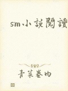 sm小说阅读