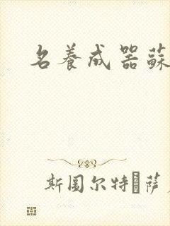 名养成器苏沫沫